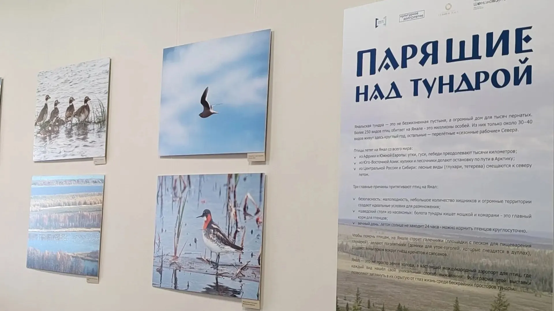 Фото: Марина Подгорная / «Ямал-Медиа»