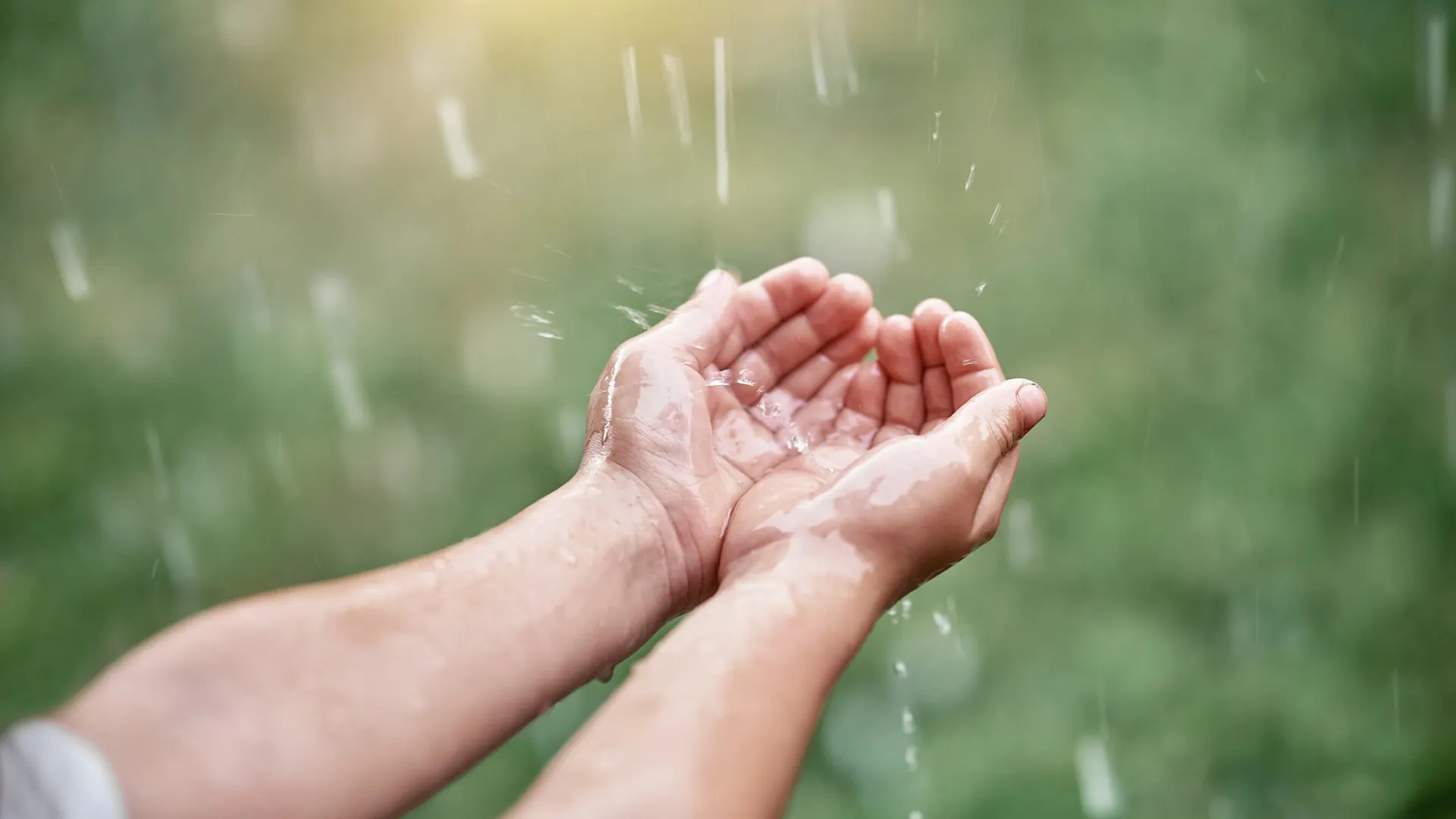 Фото: timltv/Shutterstock/Fotodom