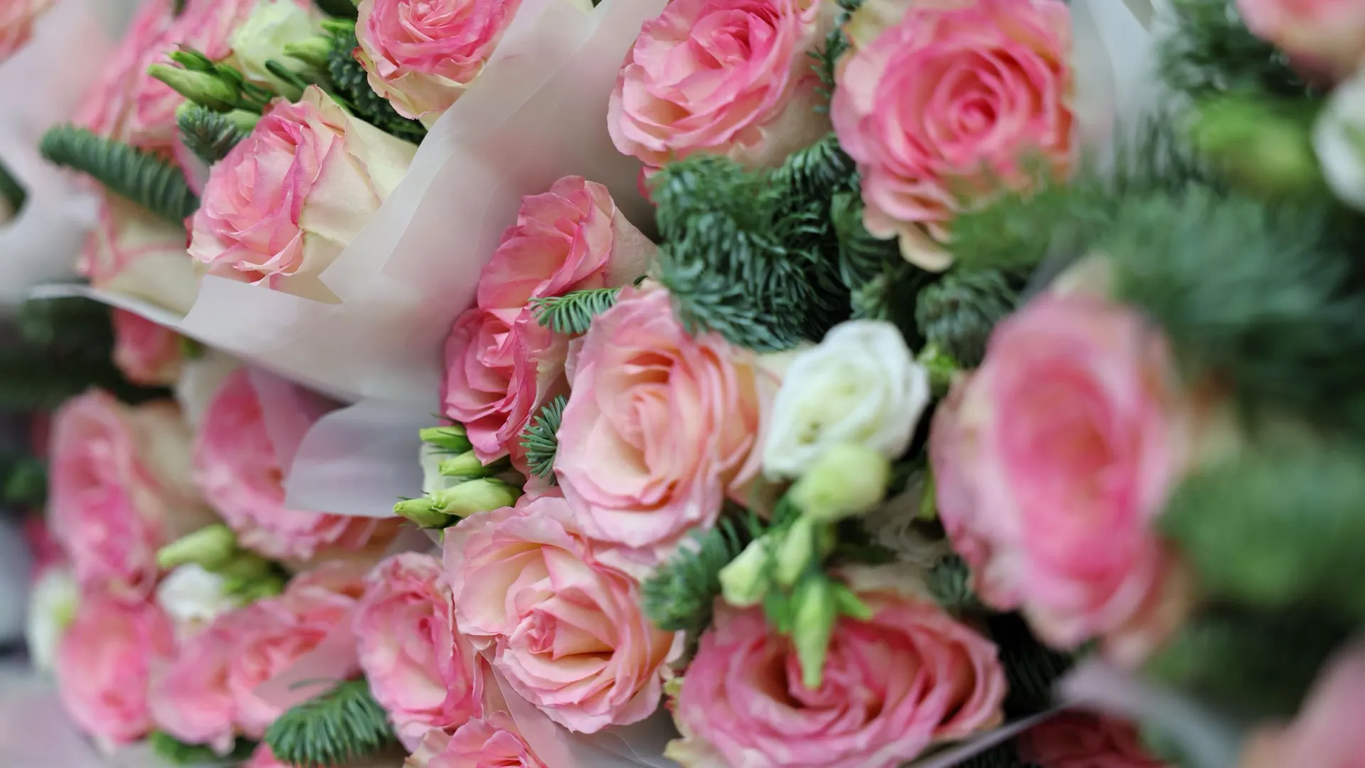 Фото: Андрей Ткачев / «Ямал-Медиа»