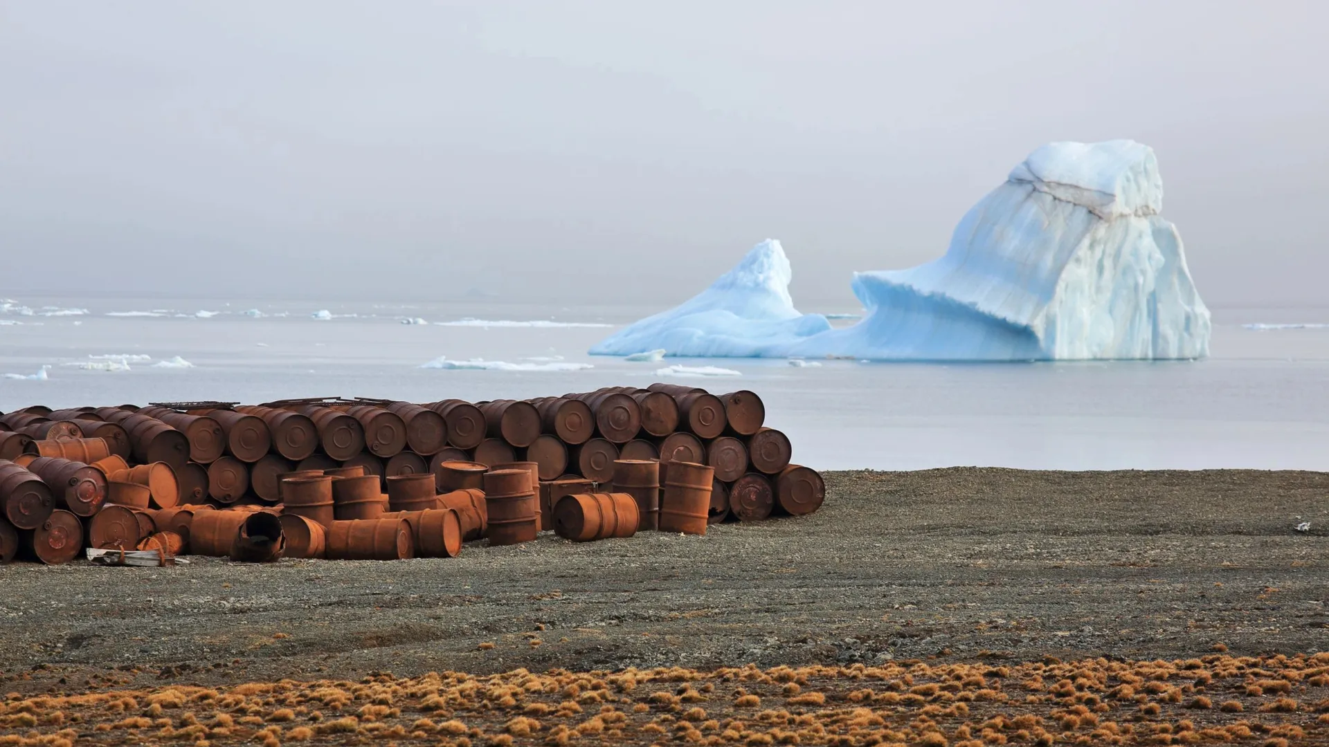 Фото: Vladimir Melnik / Shutterstock / Fotodom