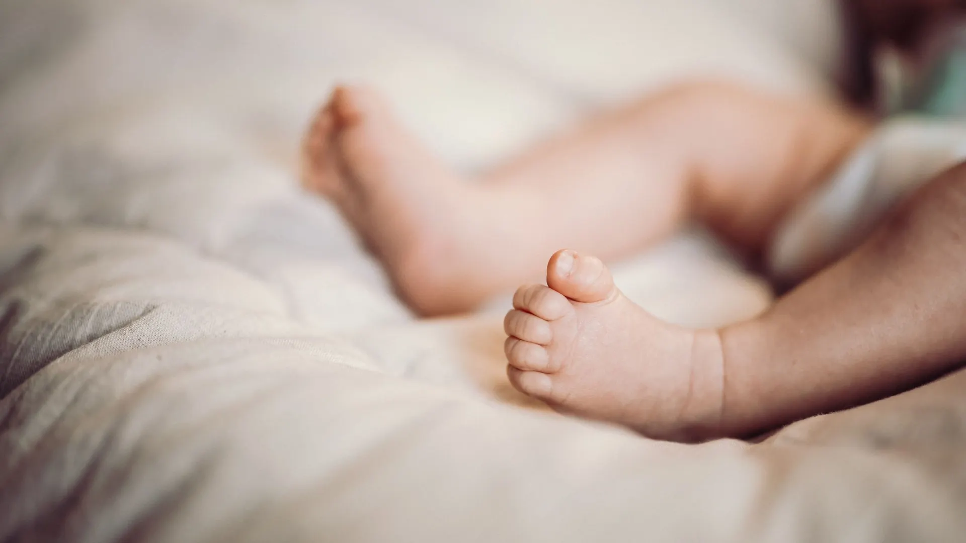 Фото: Юлия Чудинова / «Ямал-Медиа»