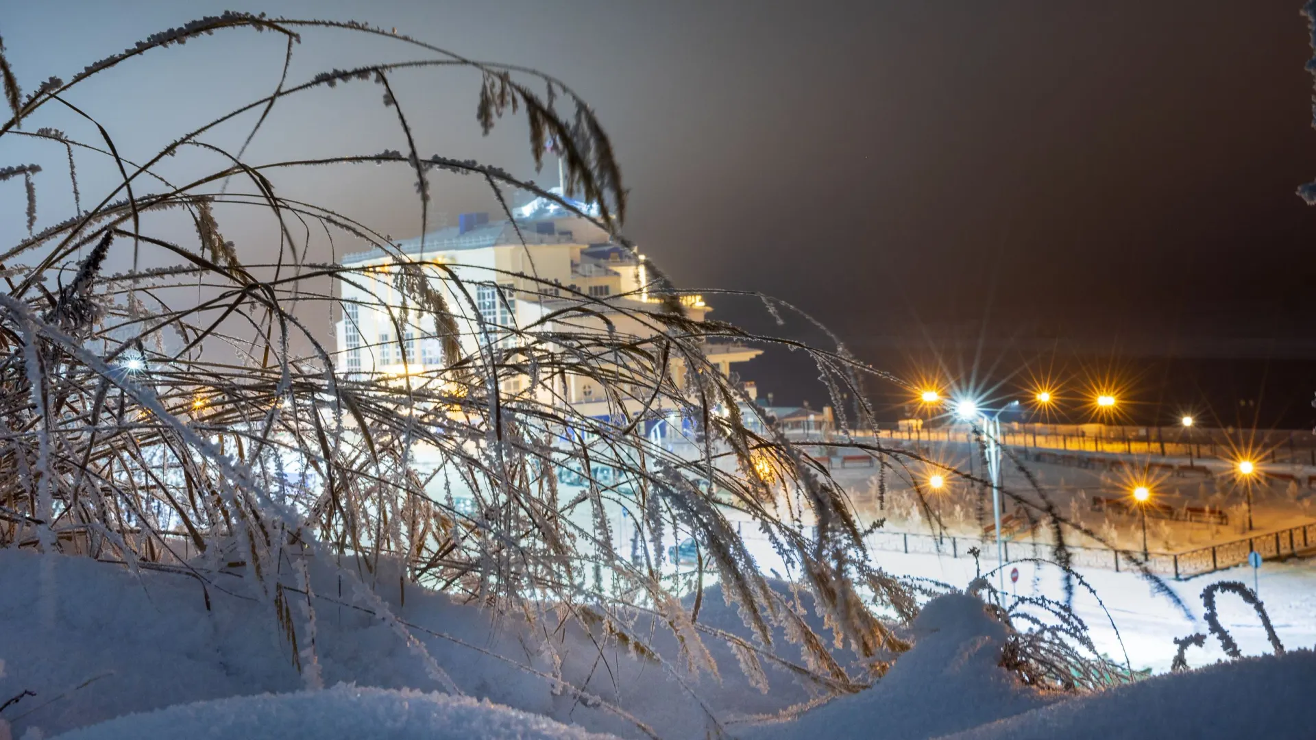 Фото: Федор Воронов / «Ямал-Медиа»