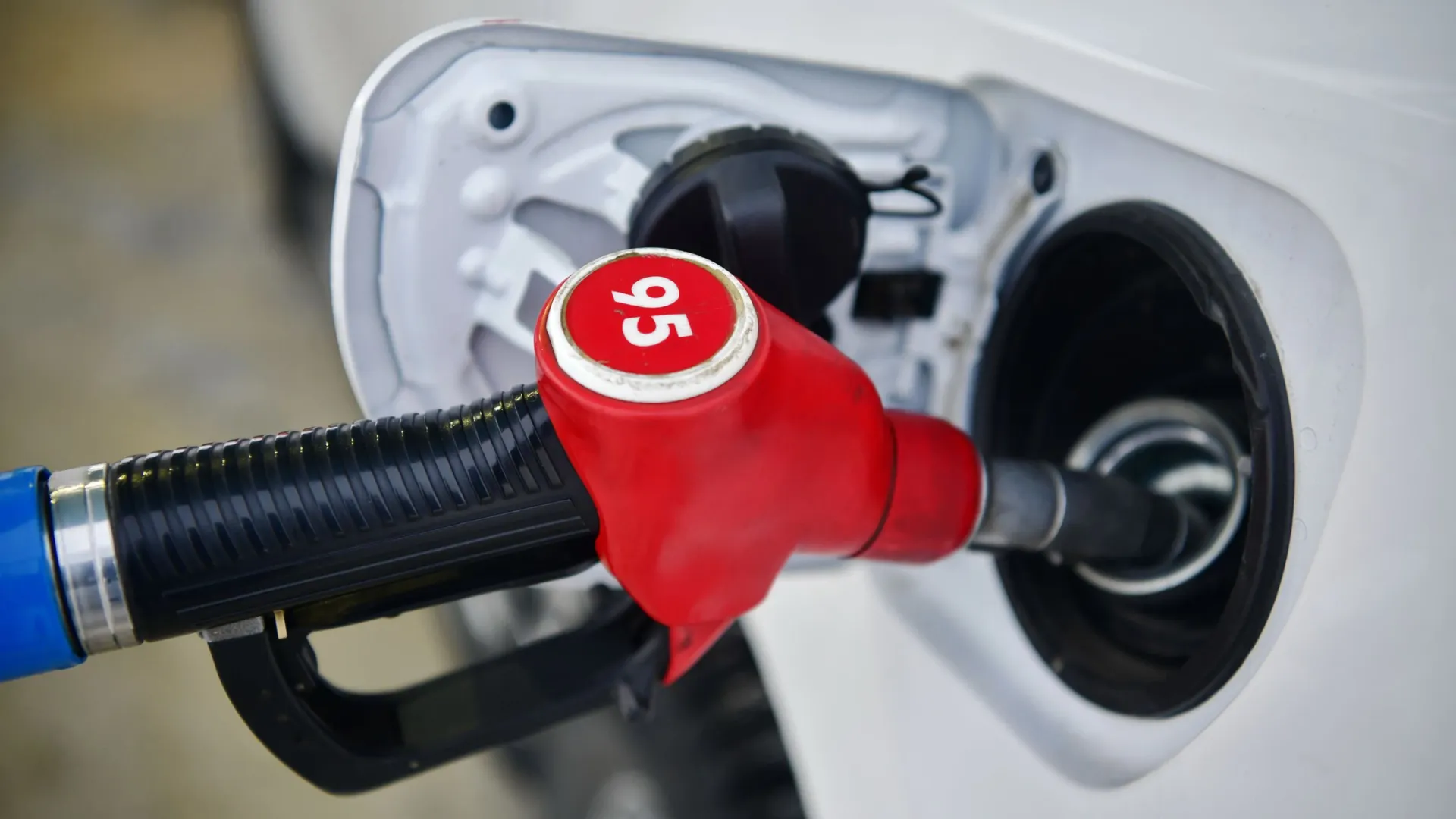 Фото: Андрей Ткачев / «Ямал-Медиа»