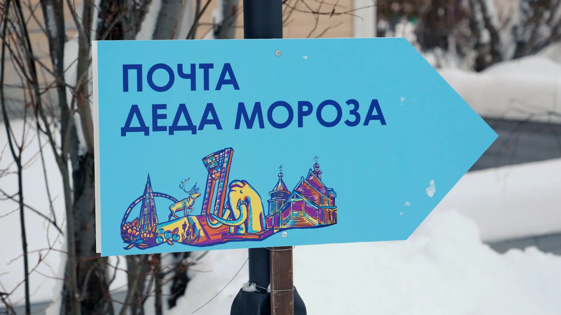 Фото: Василий Петров / «Ямал-Медиа»