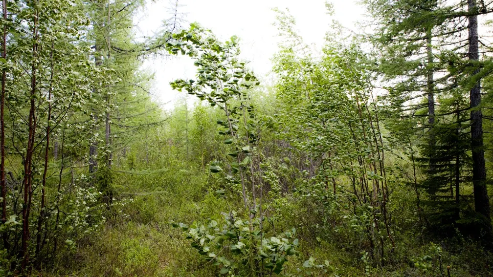 Фото ИА «Север-Пресс»