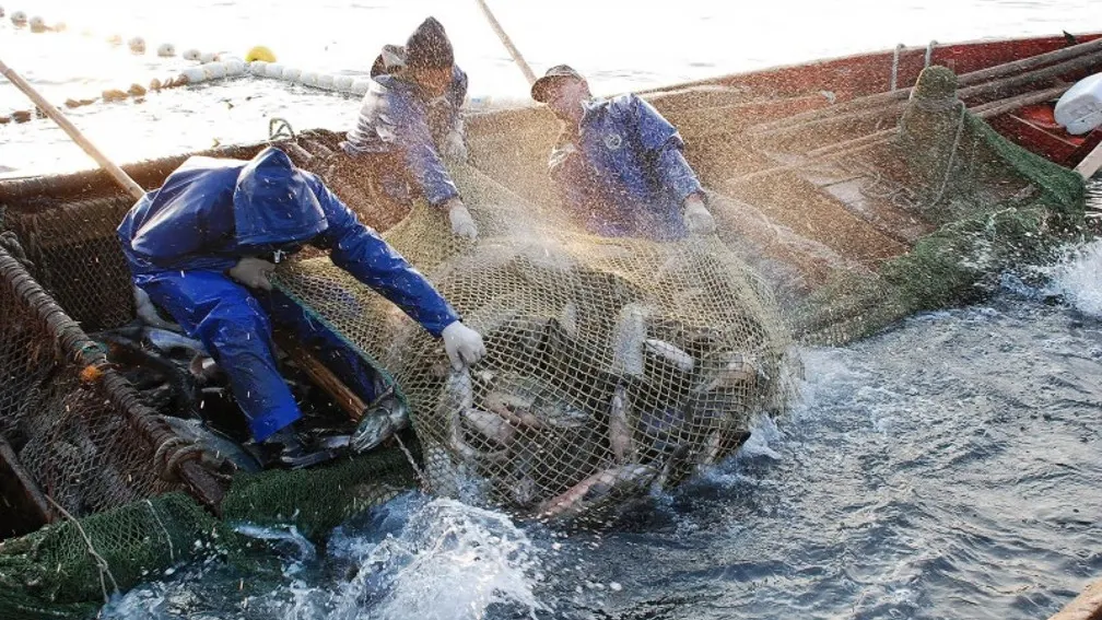 Фото с сайта salekhard.fishretail.ru