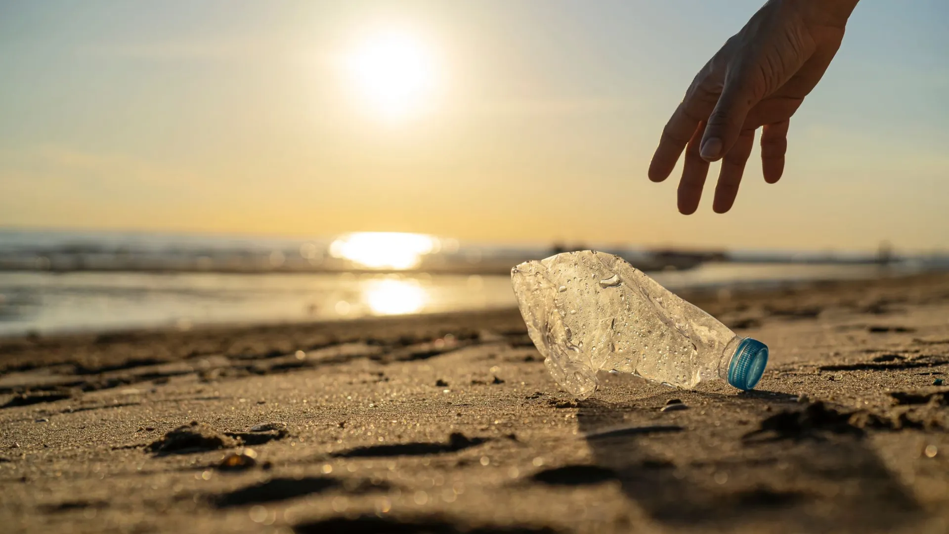 Фото: jittawit21/Shutterstock/Fotodom