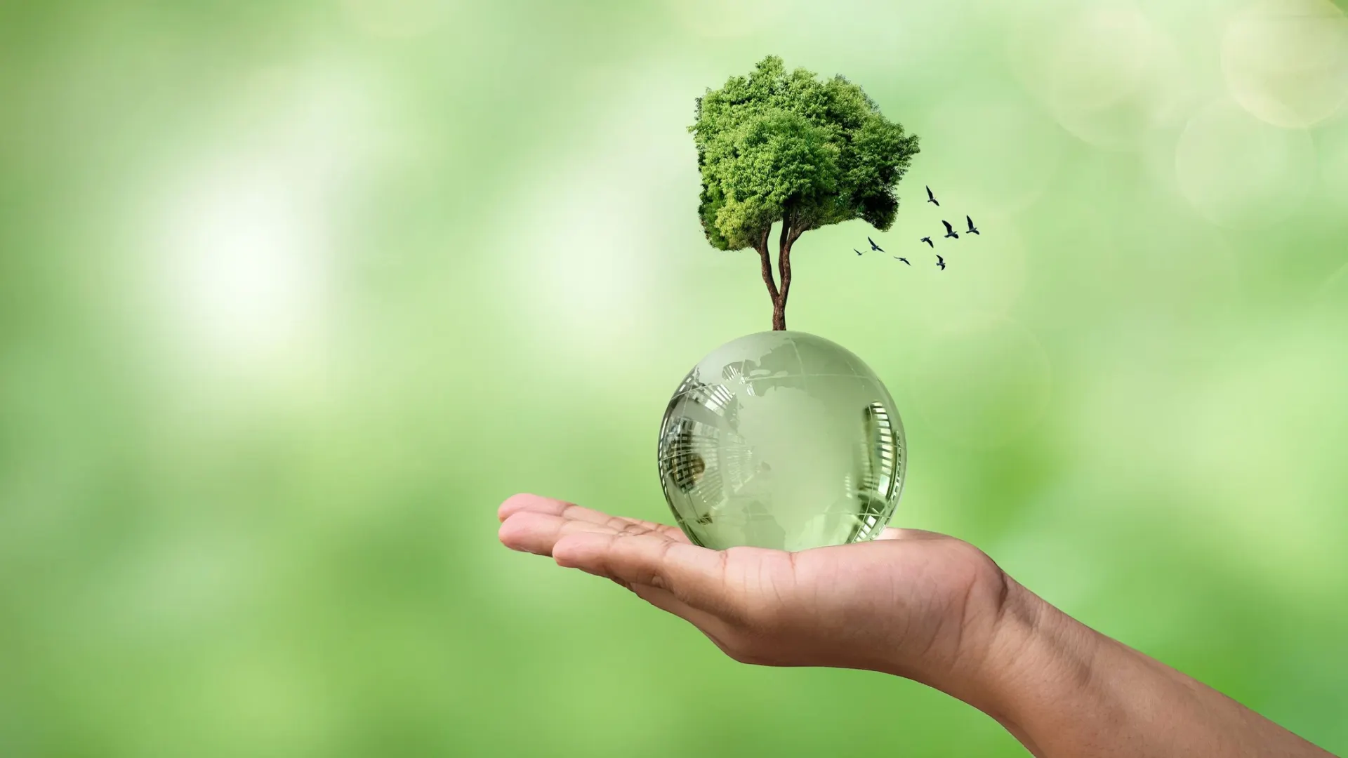 Фото: DOERS/Shutterstock/Fotodom