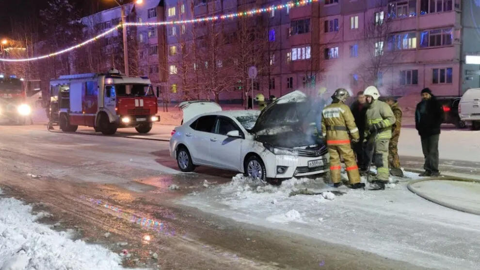 Фото АНО «Ямал-Медиа»