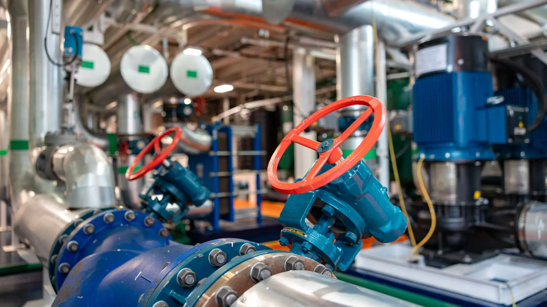 Фото: Сергей Зубков / «Ямал-Медиа»