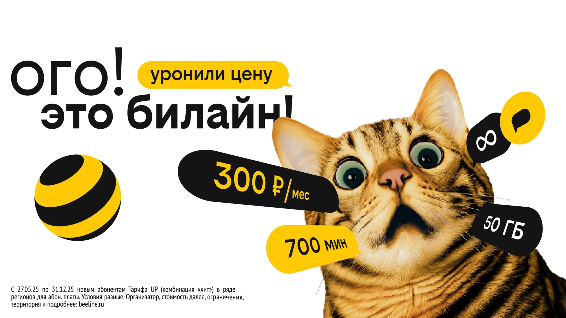 Фото: предоставлено «ПАО «ВымпелКом»