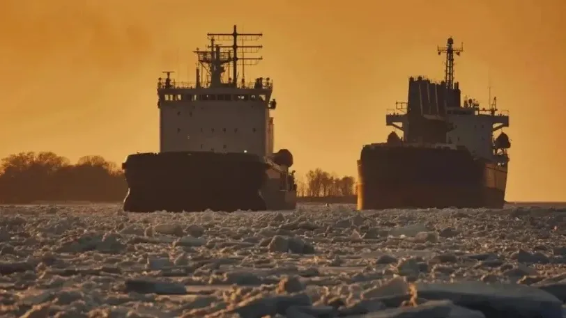 Экомониторинг Северного морского пути может стать частью госсистемы. Фото: Artic_photo / Shutterstock / Fotobank