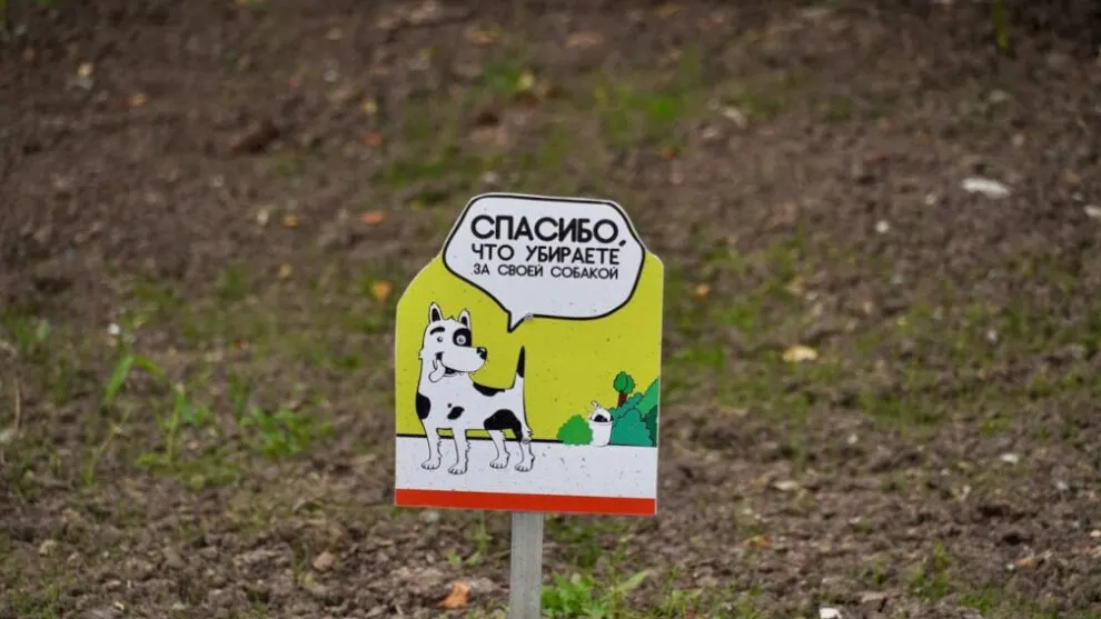 Фото Юлии Чудиновой