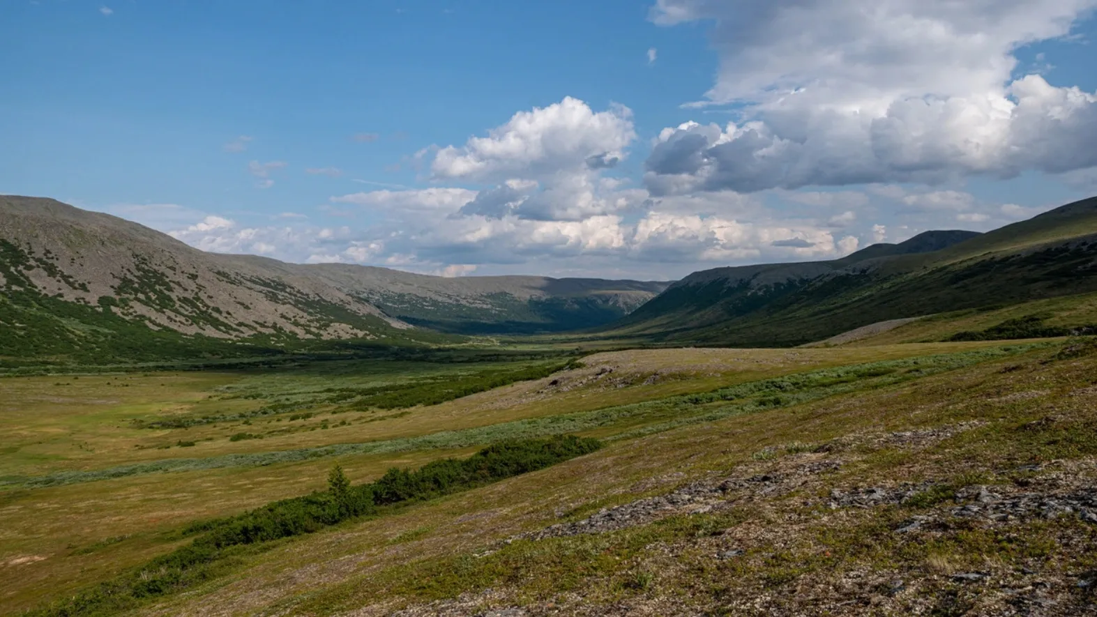 Фото предоставлено пресс-службой губернатора ЯНАО