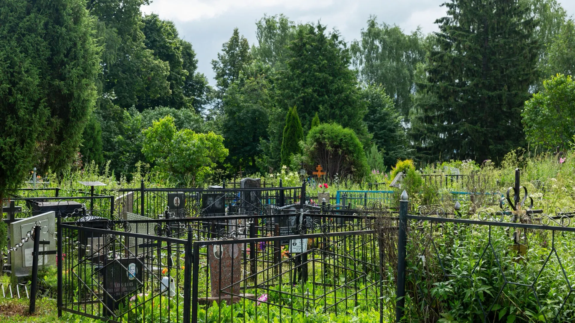 Фото: Deman/Shutterstock/Fotodom