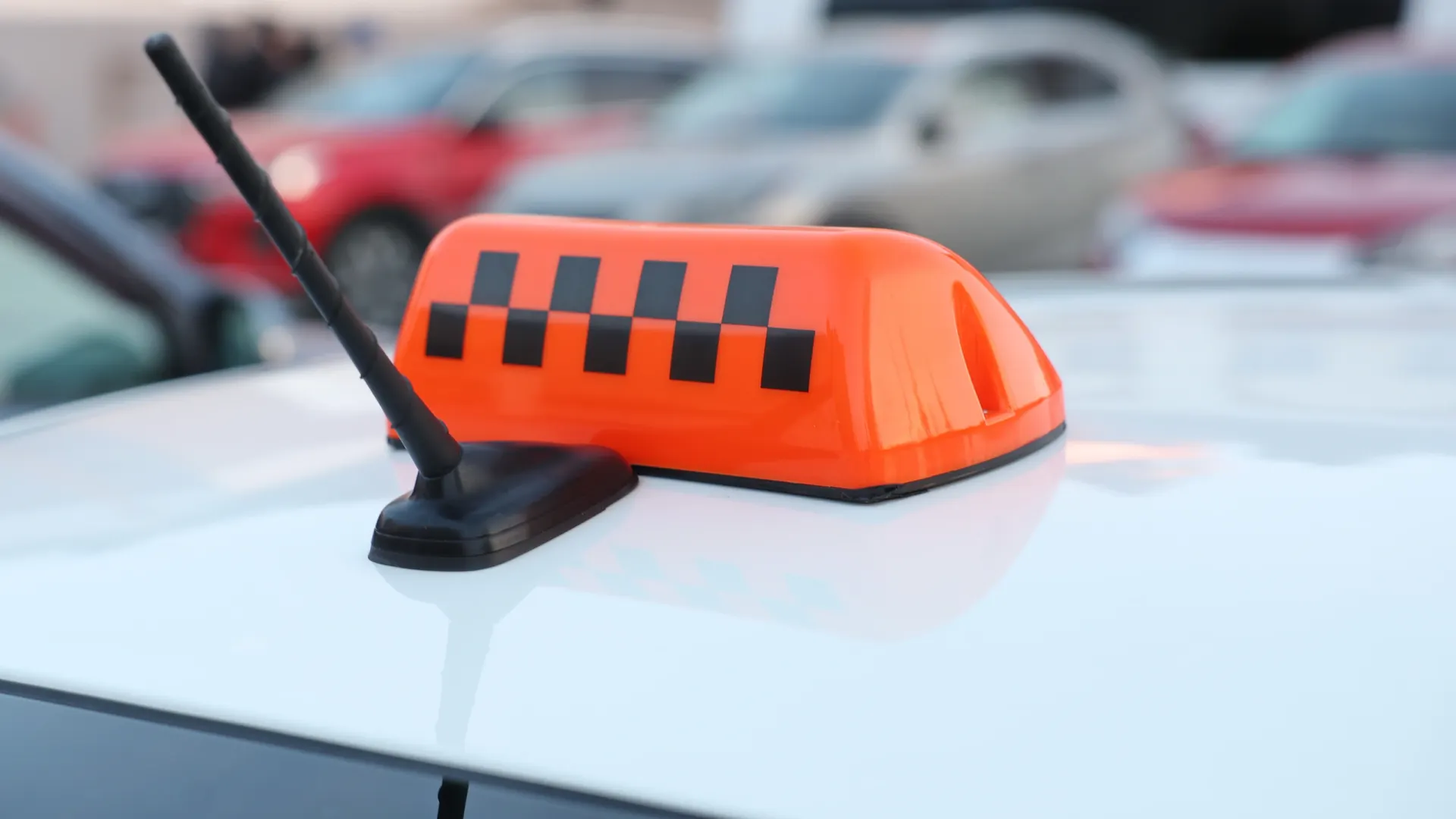 Фото: Андрей Ткачев / «Ямал-Медиа»