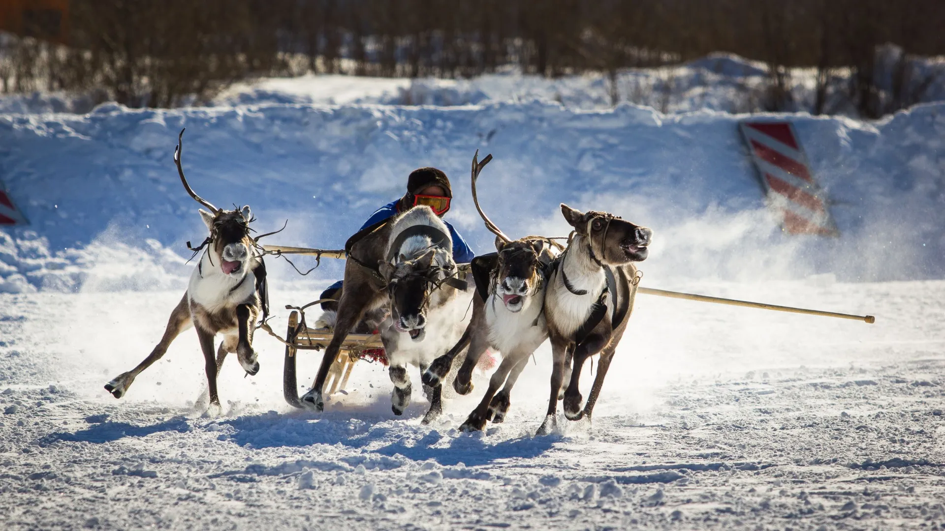 Фото: Serge Reshar / Shutterstock / Fotodom