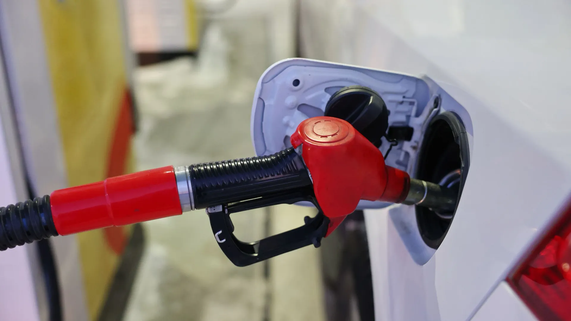 Фото: Андрей Ткачев / «Ямал-Медиа»