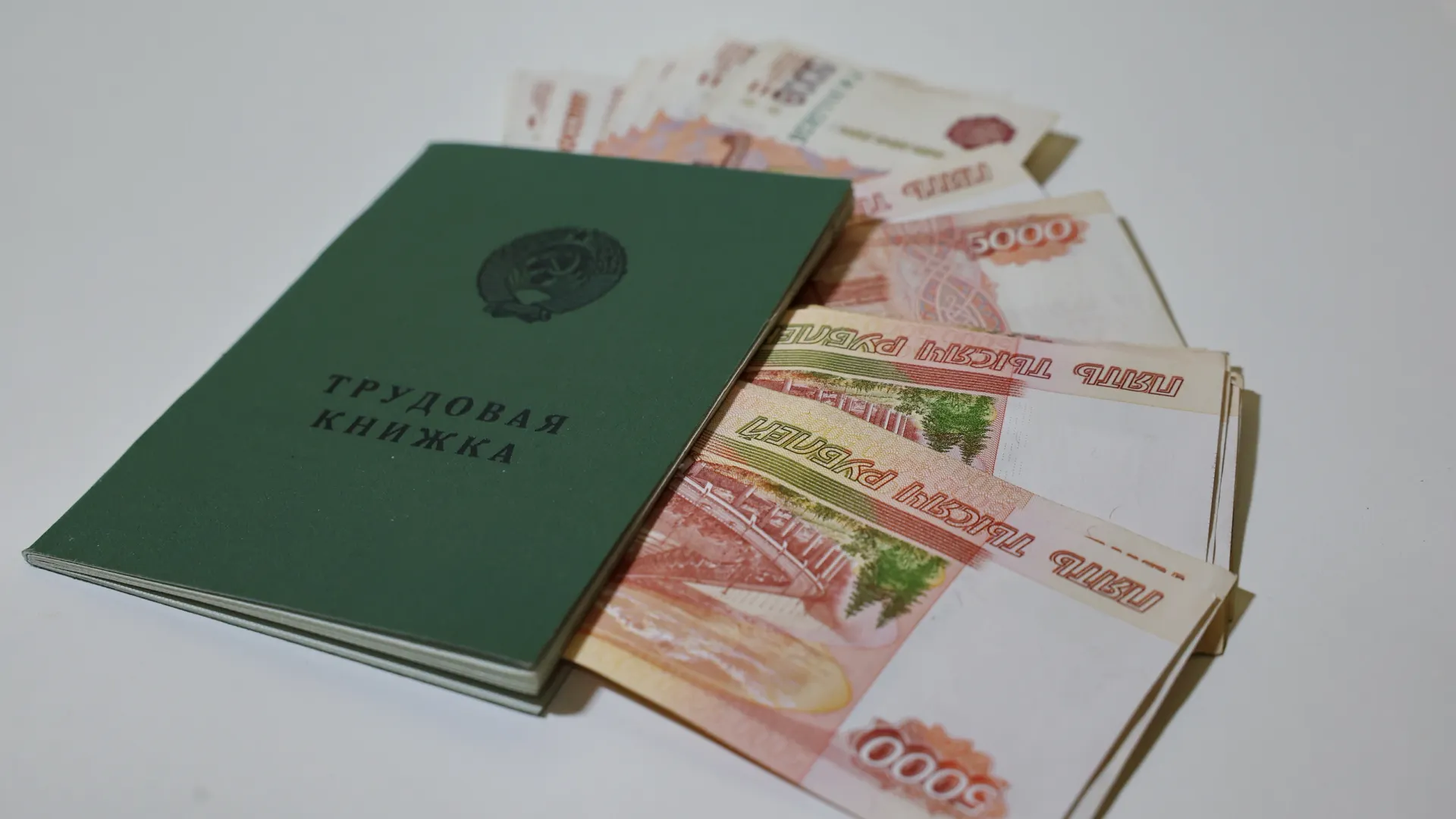 Фото: Андрей Ткачев / «Ямал-Медиа»