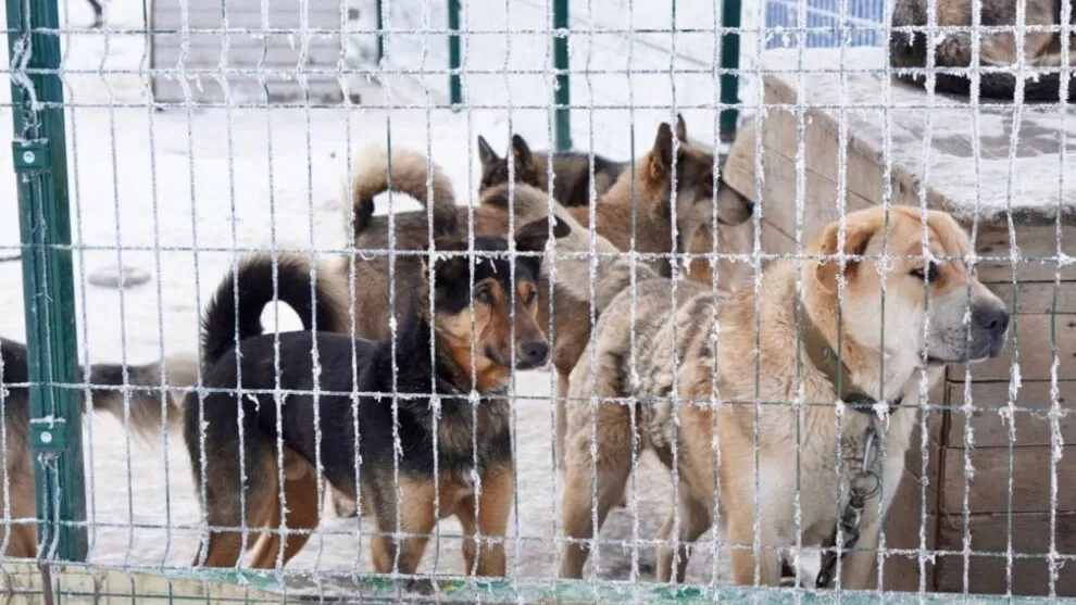 Фото Юлии Чудиновой