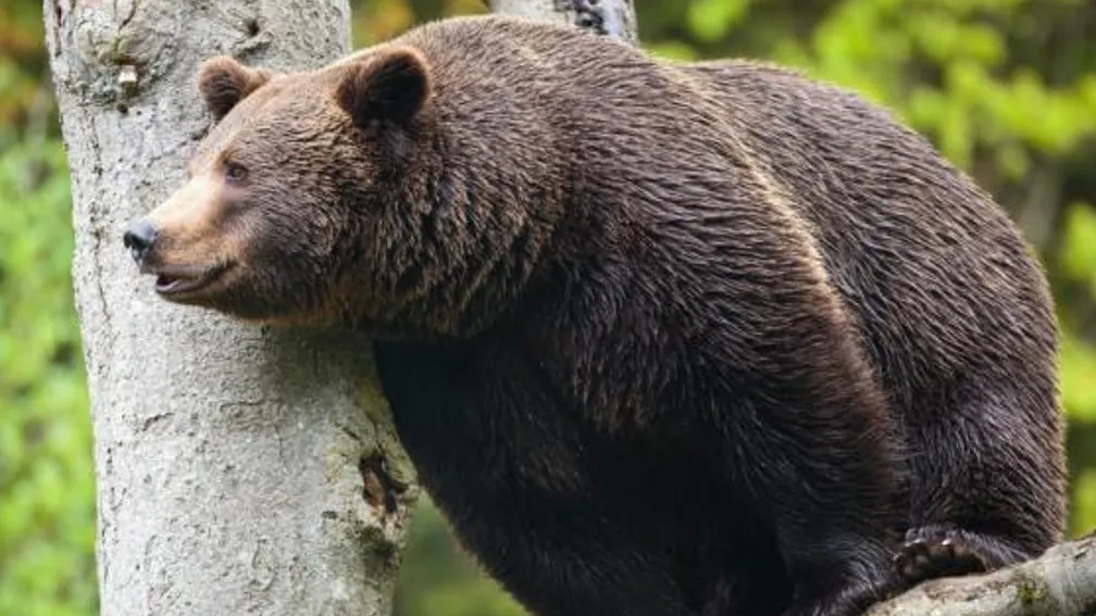 Фото с сайта nur24.ru