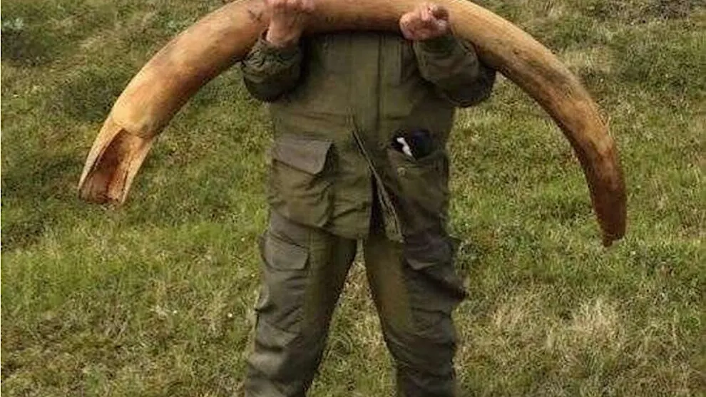 Фото с сайта avito.com