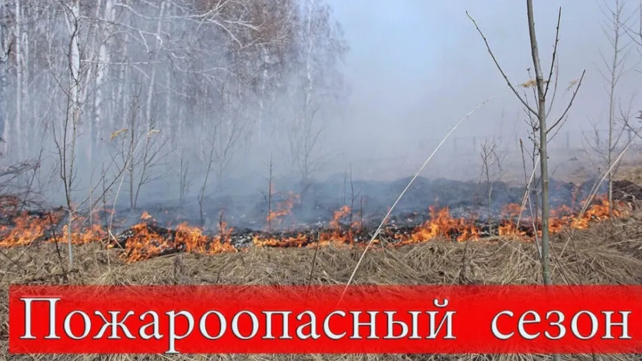 Фото Главного управления МЧС по ЯНАО
