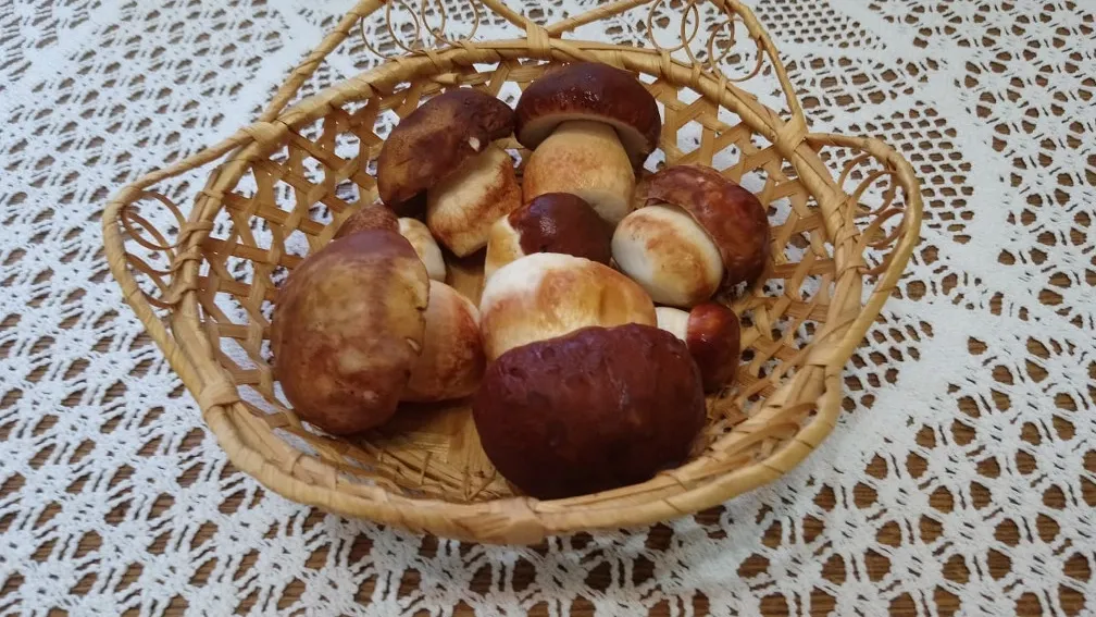 Фото ВКонтакте Губкинский, Алена Иванова