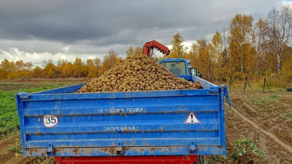 Фото: Владимир Ганчерко/ ИА «Север-Пресс»