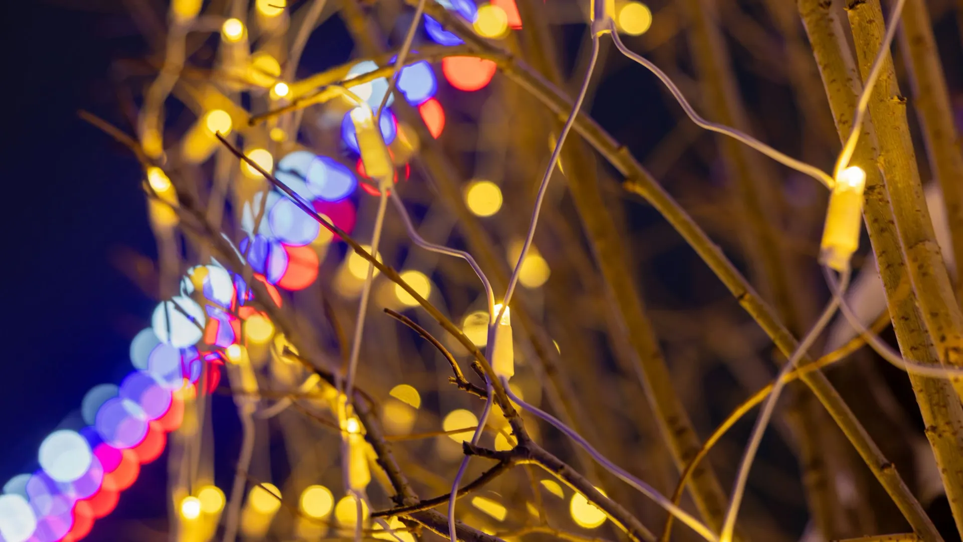 Фото: Федор Воронов / «Ямал-Медиа»