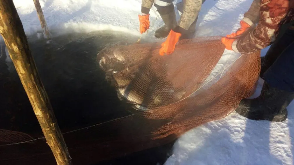 Фото пресс-службы губернатора ЯНАО