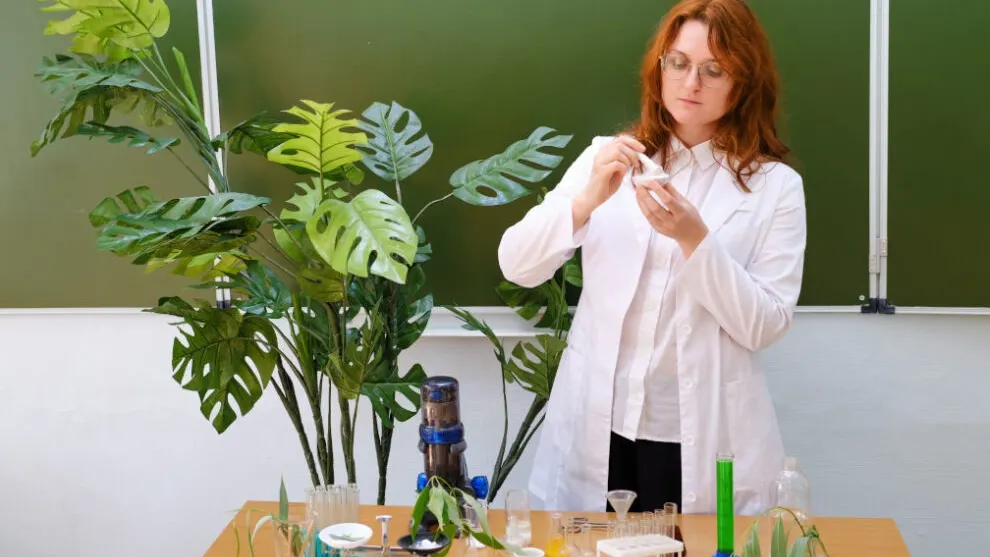 Фото с сайта shutterstock.com/Zhuravlev Andrey