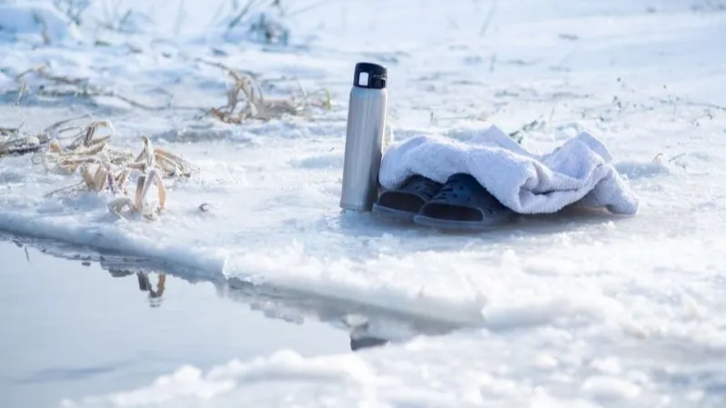 Фото: vzwer/Shutterstock/Fotodom 