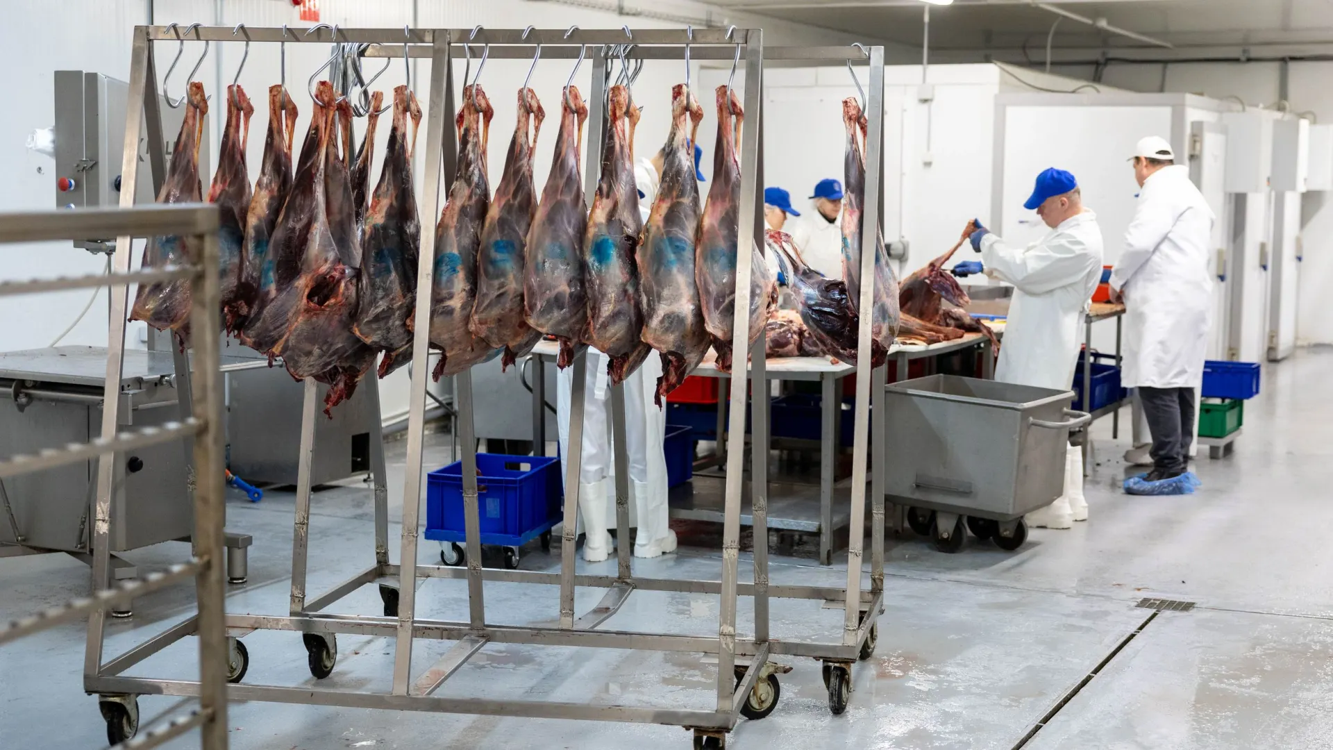 Фото: Александр Чирва / «Ямал-Медиа»