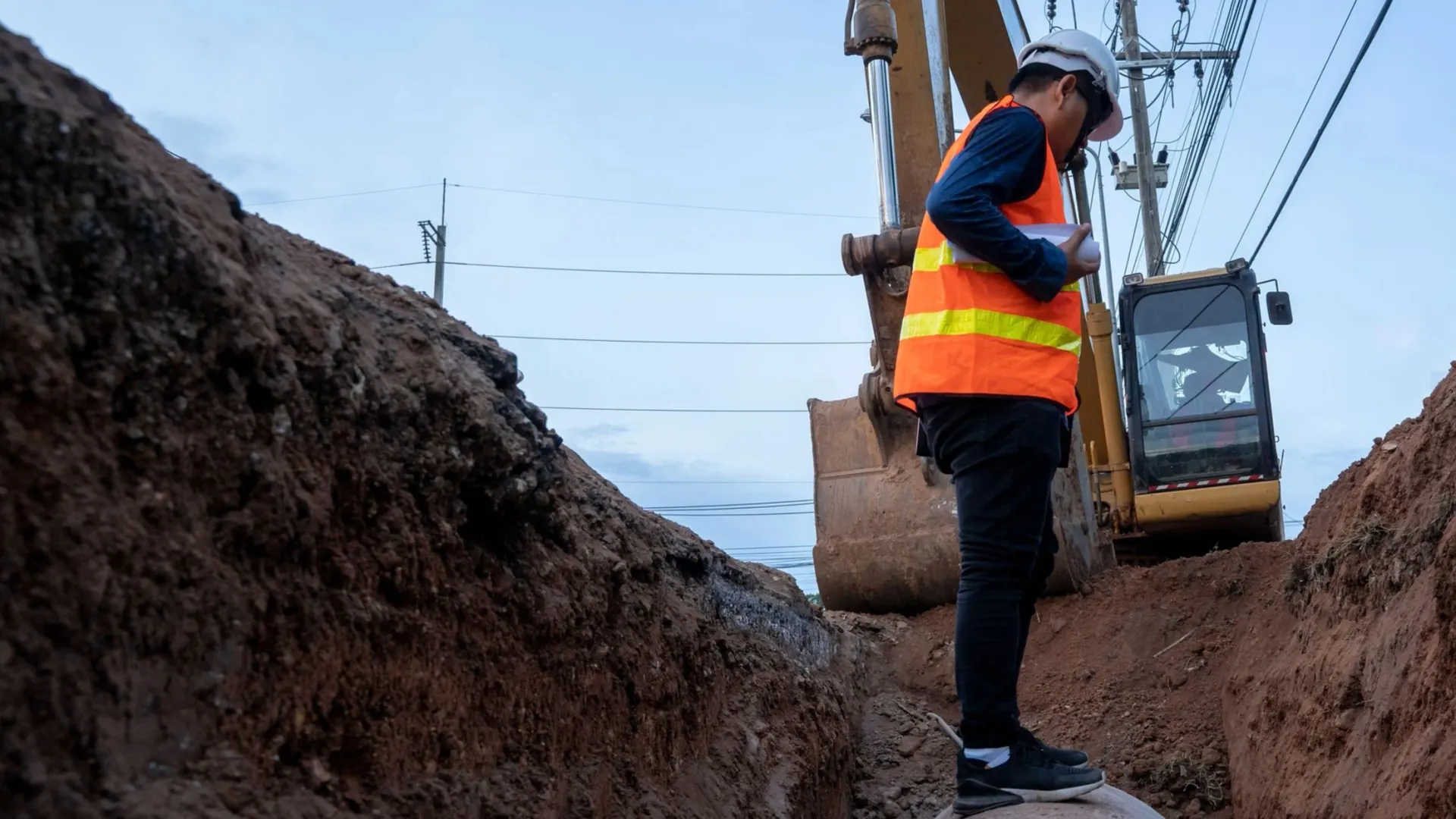 Фото: M2020/Shutterstock/Fotodom