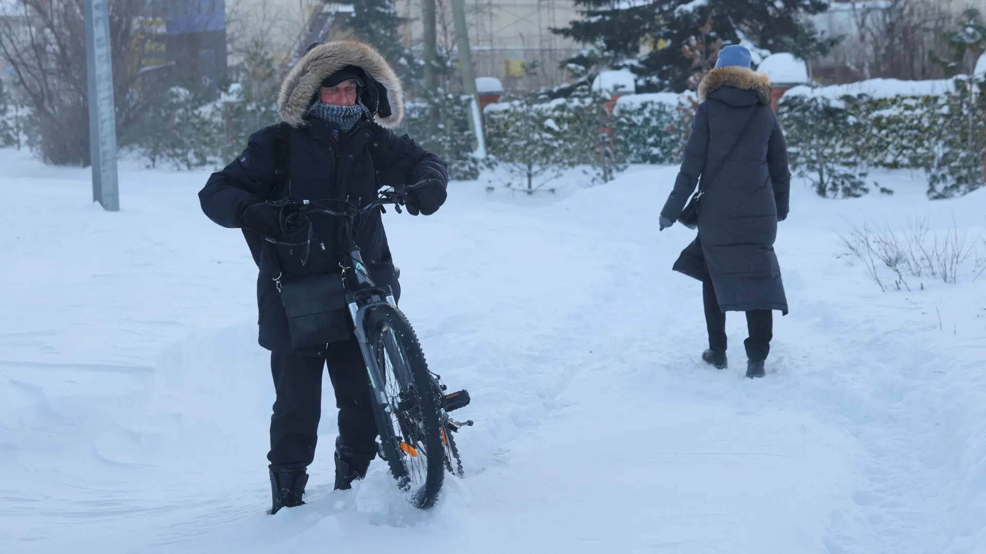 Фото: Андрей Ткачев / «Ямал-Медиа»