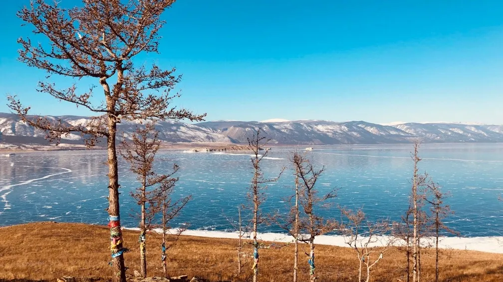Фото: Наталия Попова/Сеть городских порталов