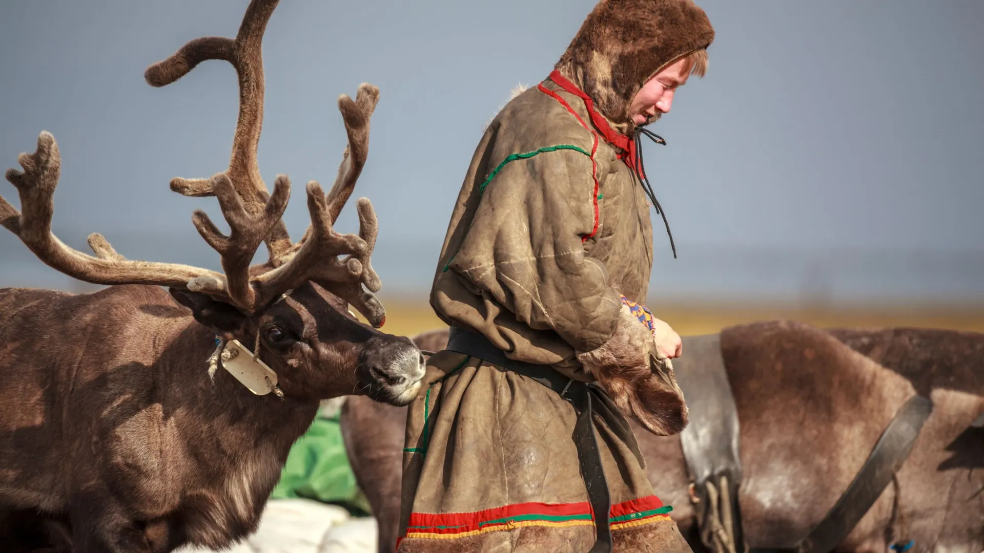 Фото: Evgenii Mitroshin / Shutterstock / Fotodom