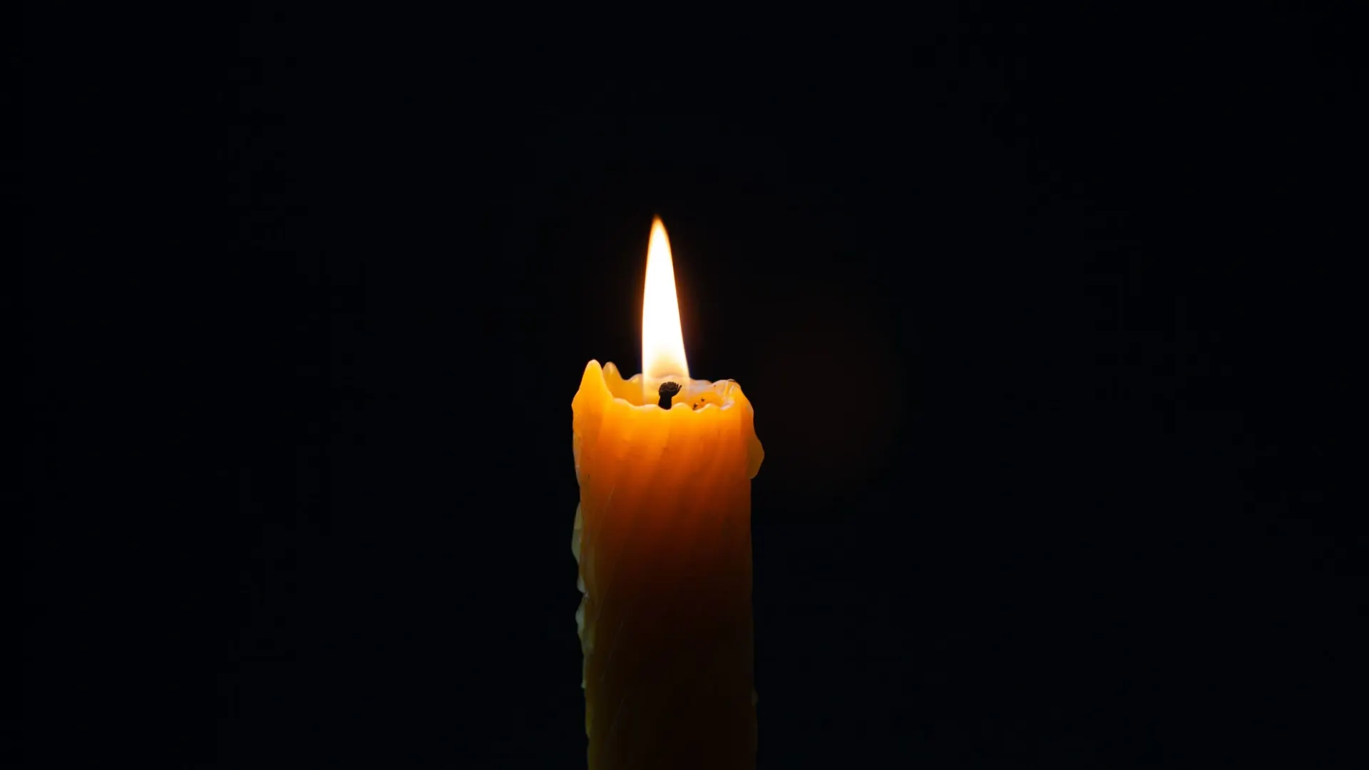Фото: nada54 / Shutterstock / Fotodom