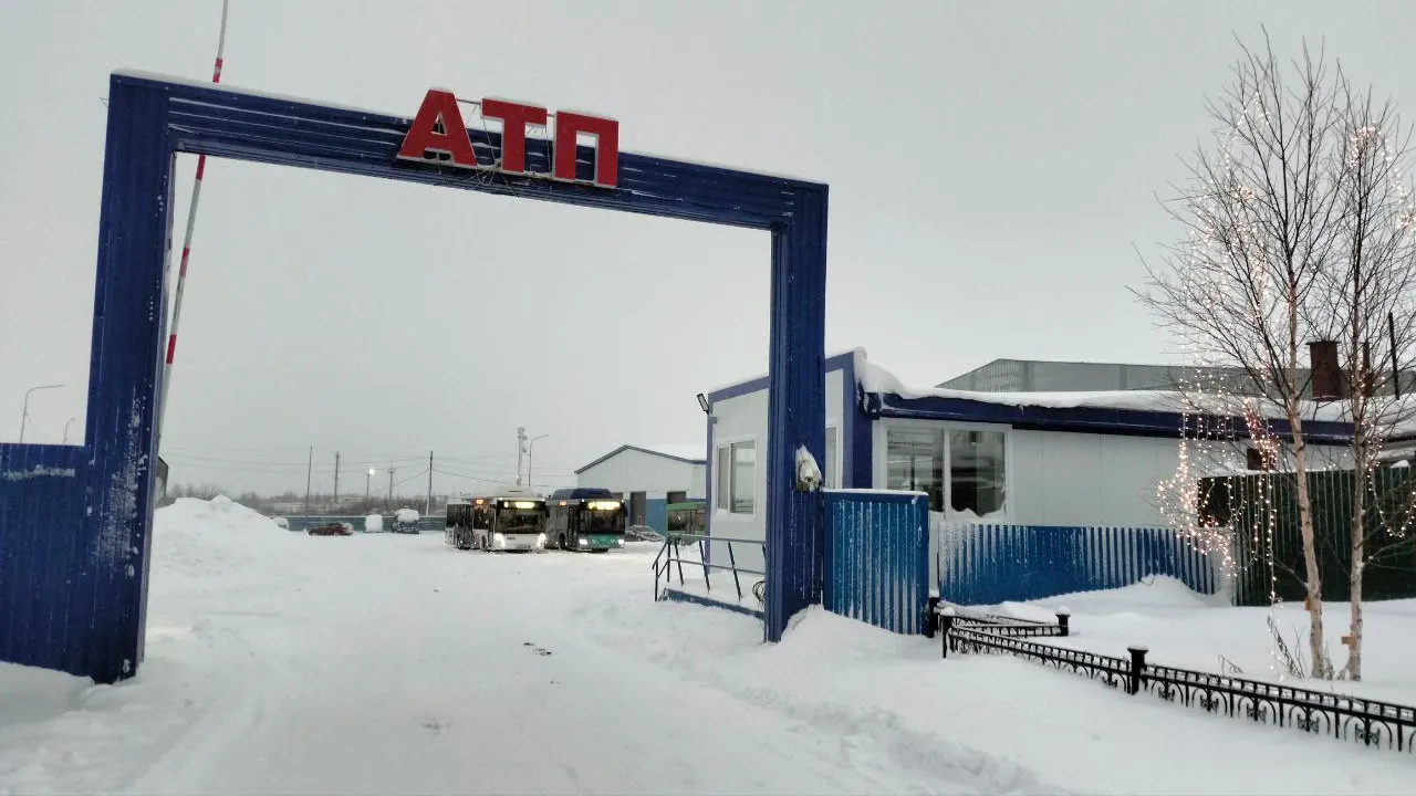 Фото: Владимир Ганчерко / «Ямал-Медиа»