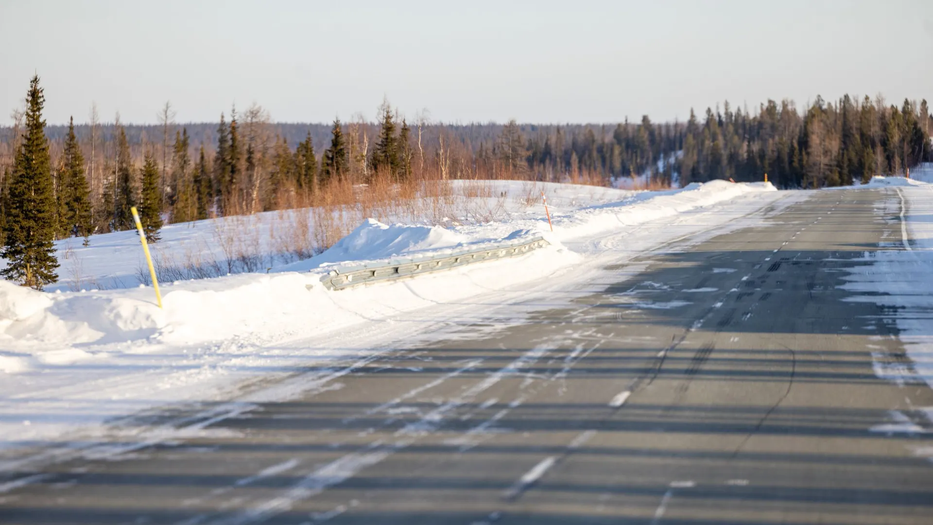 Фото: Федор Воронов / «Ямал-Медиа»