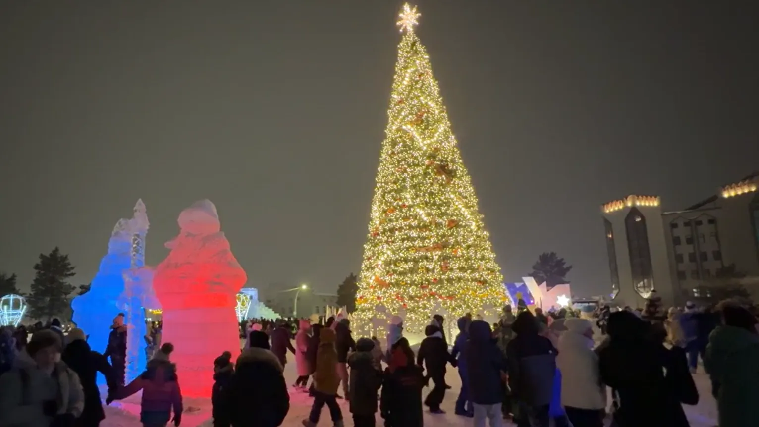 Фото: Ольга Климова / «Ямал-Медиа»