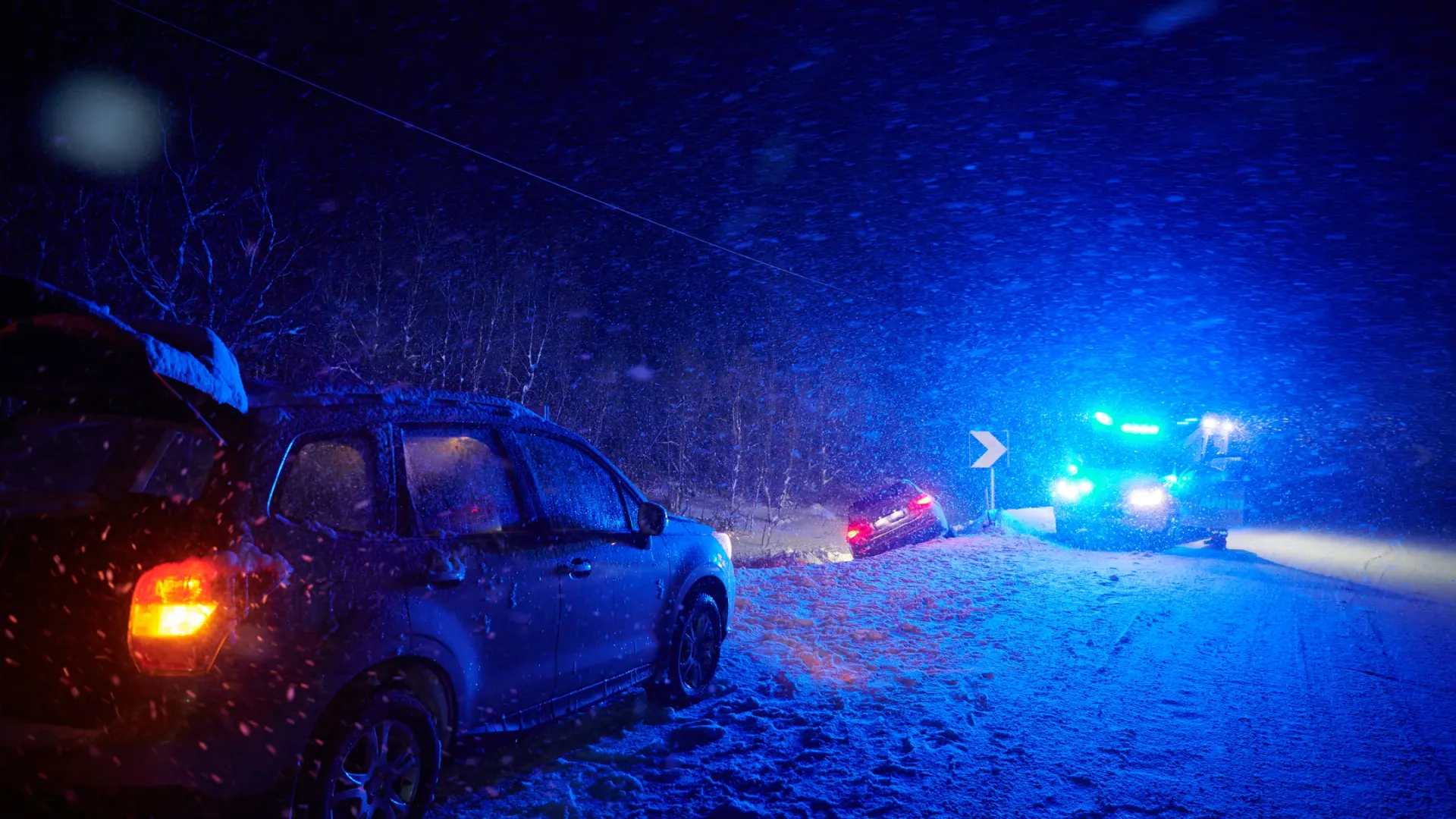 Фото: dotshock/Shutterstock/Fotodom