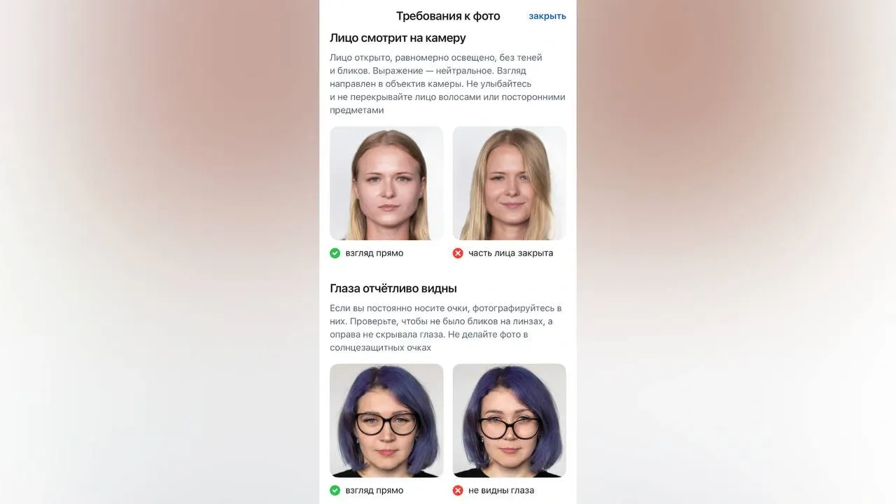 Скрин из мобильного приложения «Госуслуги»