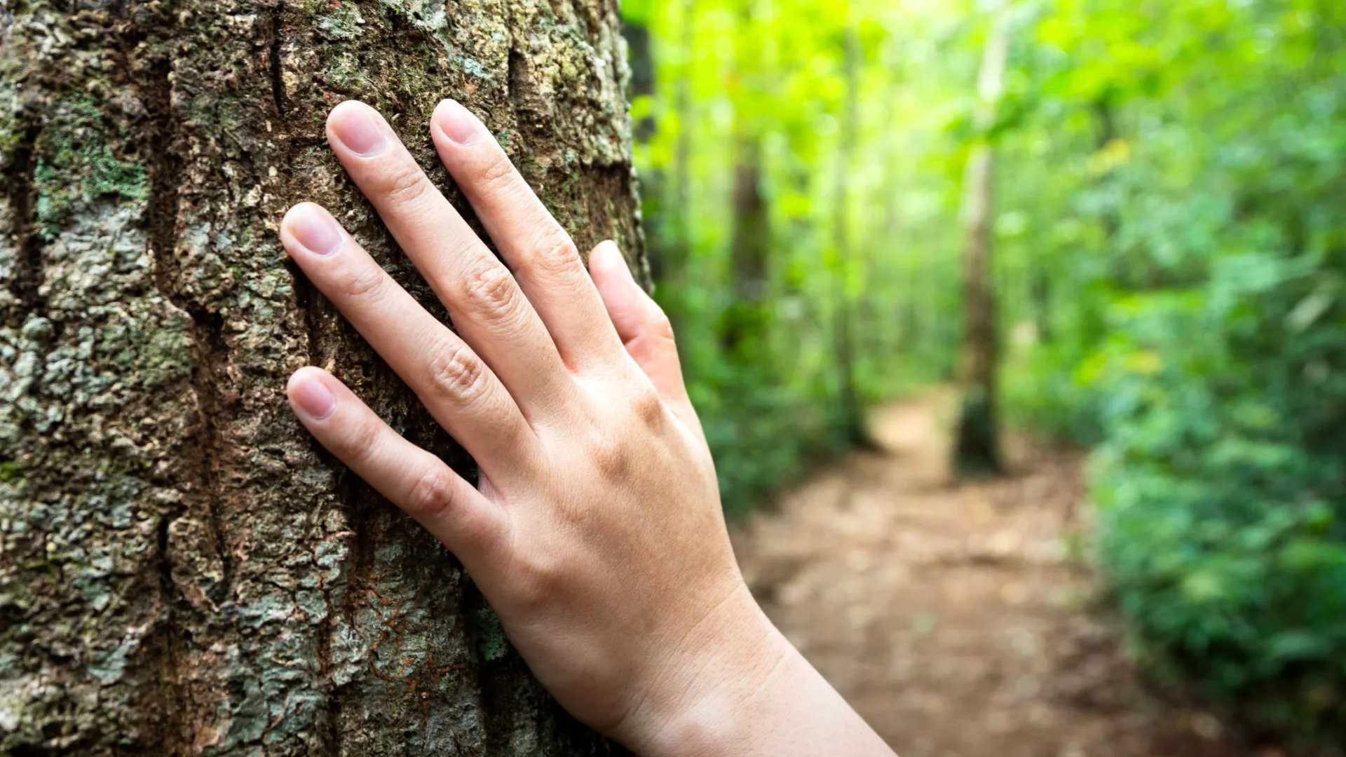 Фото: Nattawit Khomsanit / Shutterstock / Fotodom