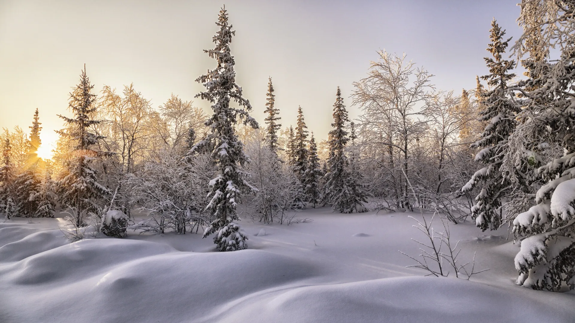 Фото: Evgeny Kuzhilev / Shutterstock / Fotodom