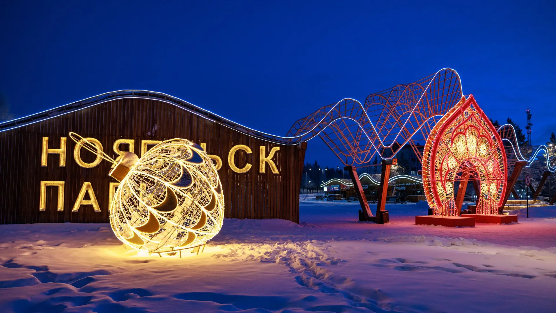 Фото: Юрий Здебский / «Ямал-Медиа»