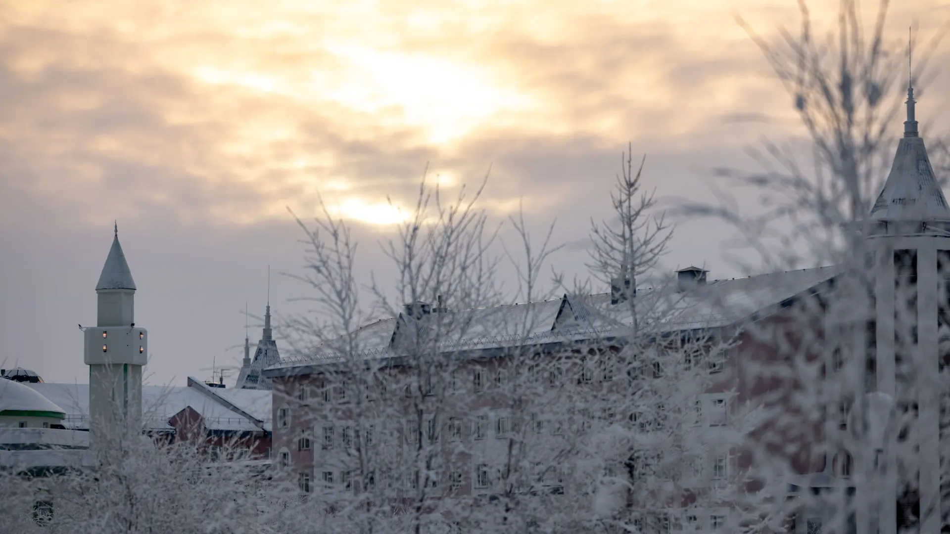 Фото: Сергей Зубков / «Ямал-Медиа»