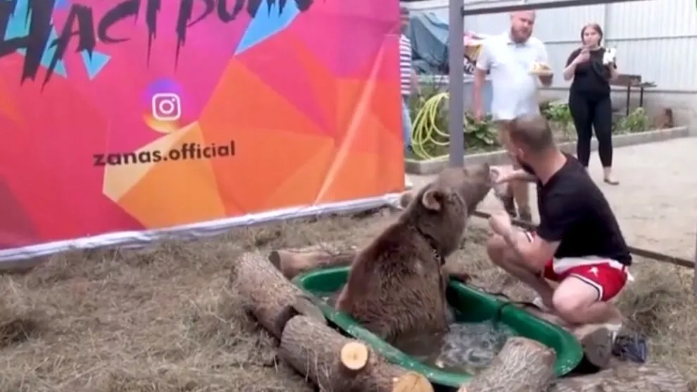 Фото с сайта riafan.ru