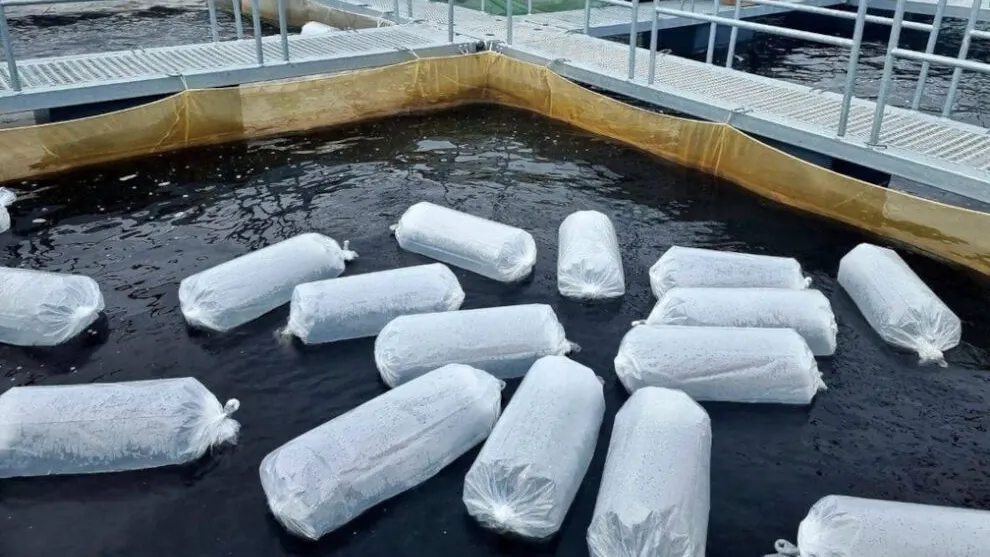 Фото из аккаунта Василия Паршакова в Instagram